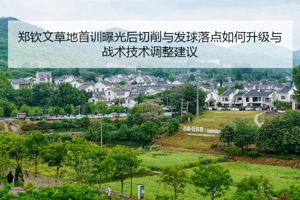 zheng-qin-wen-cao-di-shou-xun-bao-guang-hou-qie-xiao-yu-fa-qiu-luo-dian-ru-he-sheng-ji-yu-zhan-shu-ji-shu-tiao-zheng-1-108.jpg